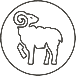 MERINO WOOL