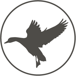 GOOSE DOWN